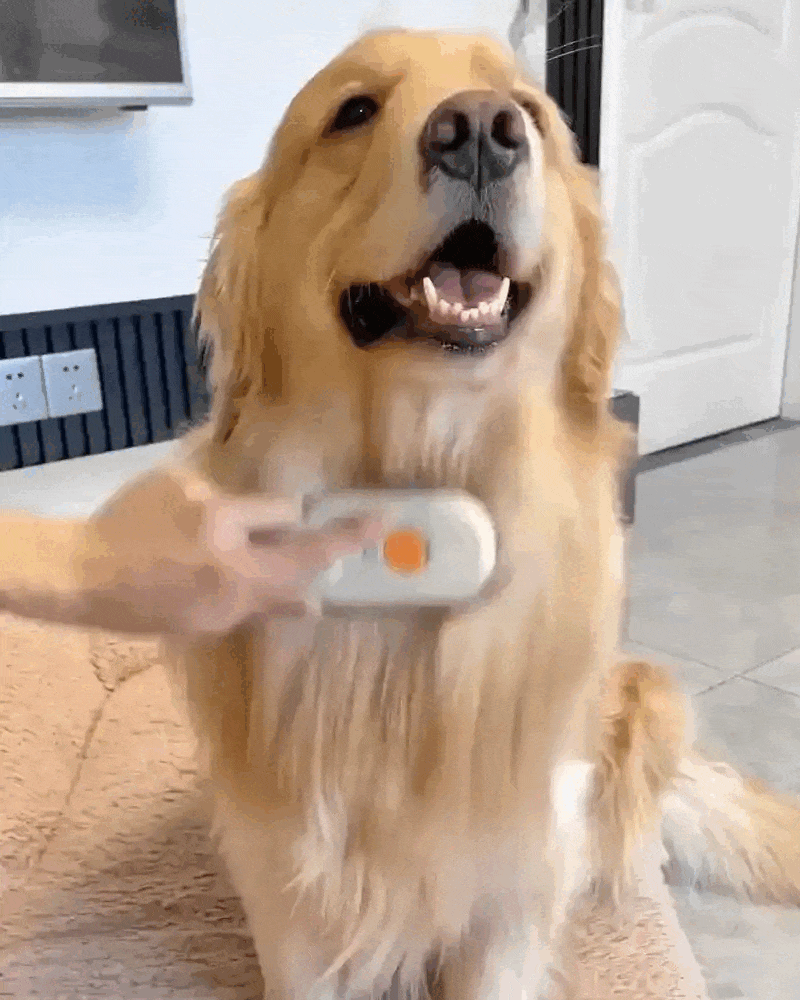 Pet Brush | Brushes Fur