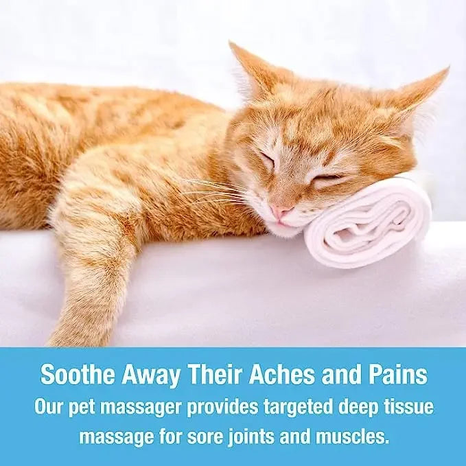 Electric Cat Head Back Massager