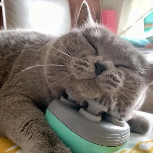 Electric Cat Head Back Massager