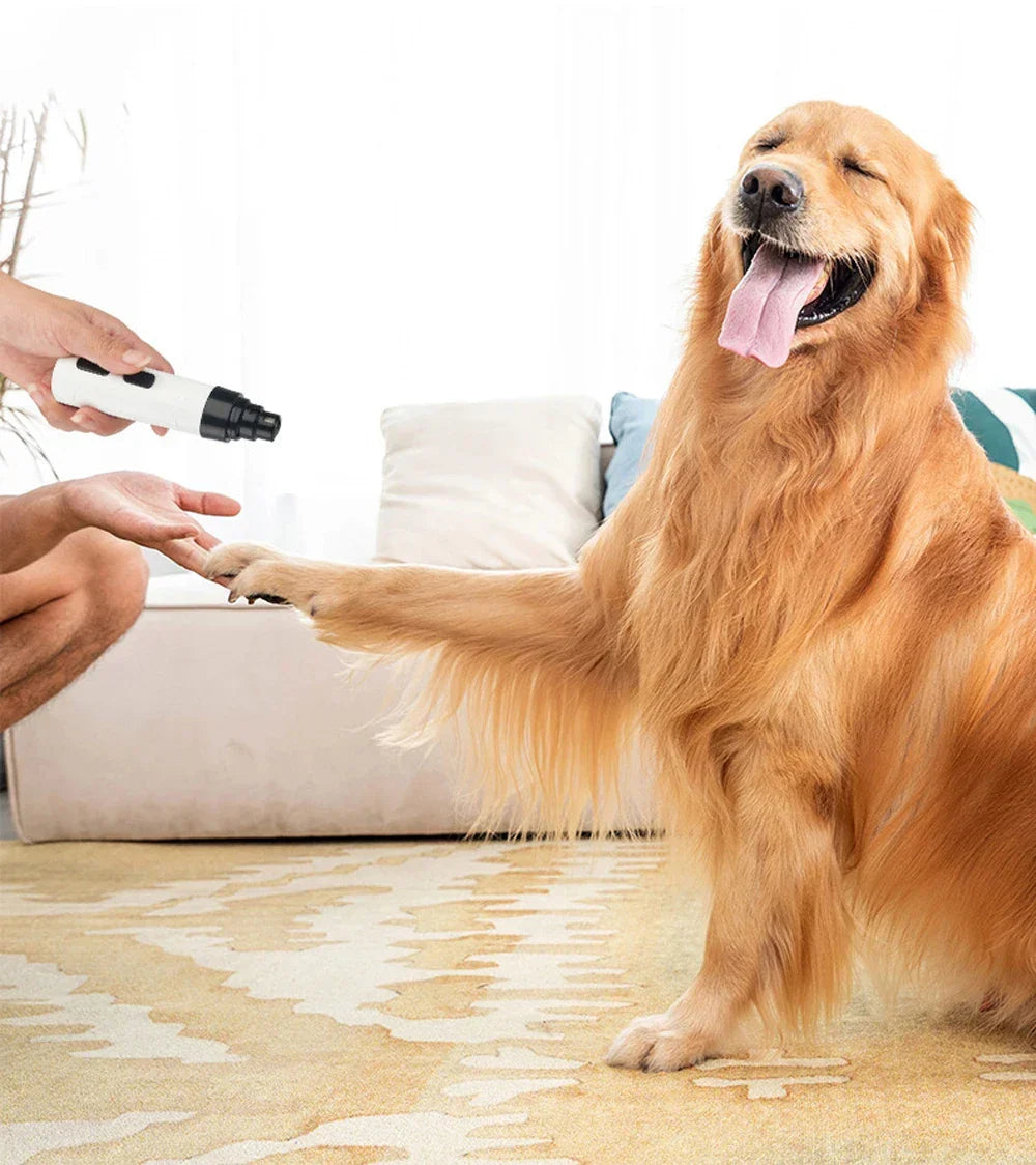 Electric Ultra Nail Grinder for Cat Paws