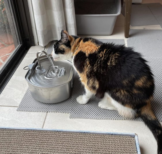 PawfectSnuggle Stainless Steel Water Fountain