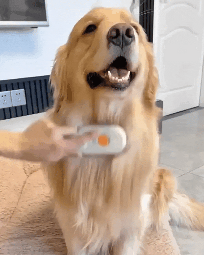Pet Brush | Brushes Fur
