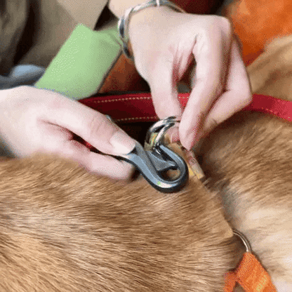 The Dog Sitter | Car Seat Bag