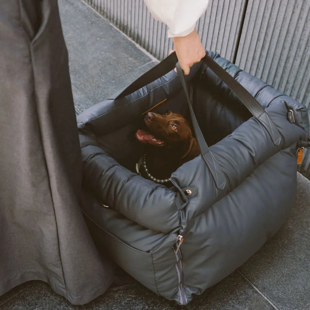 The Dog Sitter | Car Seat Bag