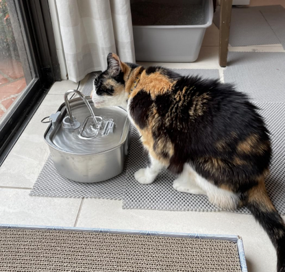PawfectSnuggle Stainless Steel Water Fountain